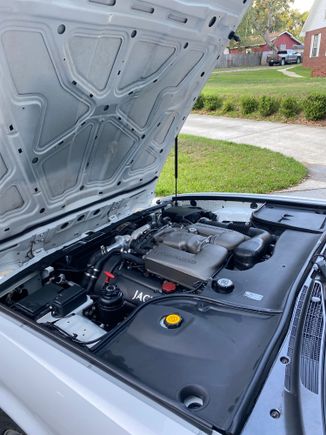 I cleaned the underside of the bonnet thoroughly and let it dry overnight 