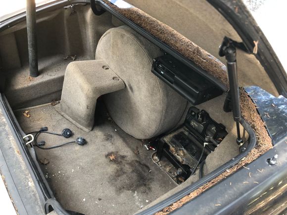 Trunk of the jaaaag. Also forgot to mention will need struts