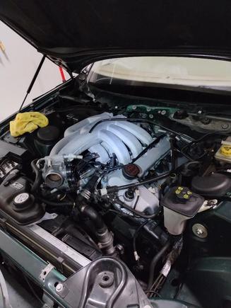 All cleaned up, almost done