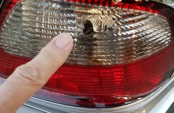 Easier to see in closeup