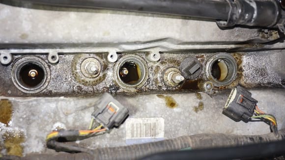So this is how bad it was: Oil leaking left, right and centre. Spark plugs and ignition coils drowning.