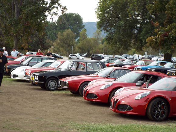 Alfa Land