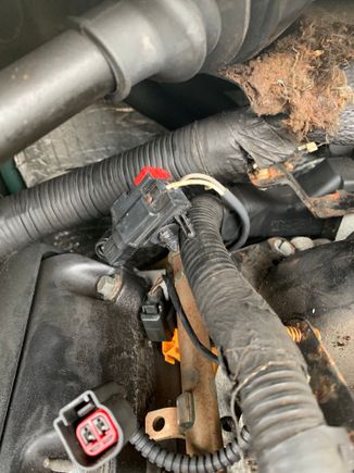 This is in the back left part of the manifold.