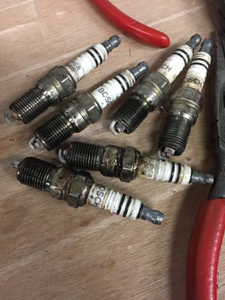 All of spark plugs were vailed white. this is the symptom of too high heat spec for cylinders. I checked the heat spec of them. These heat spec are BOSCH 7, but Genuine parts is NGK 7. Bosch 7 and NGK 7 are not same heat spec. BOSCH 7 is more heat than NGK 7. BOSCH 5 is same heat spec NGK 7. It may the cause of white vail of spark plugs and Oxygen sensor.