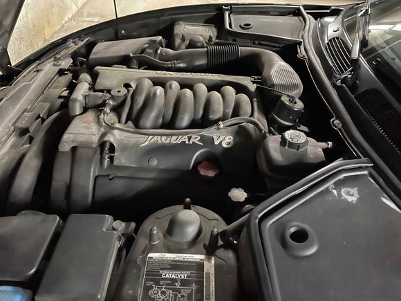 Engine bay, APP is at the back of engine bay directly behind the manifold with a cap and tube (Vacuum) coming out pointing forward.
