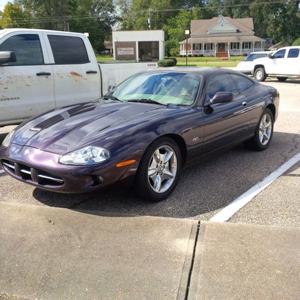 Front may actually be a quarter-inch or so lower than this picture, taken 2 months ago