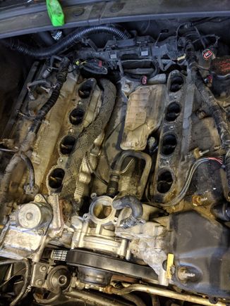 Here's everything removed. I put a new belt on. Also an idler pulley