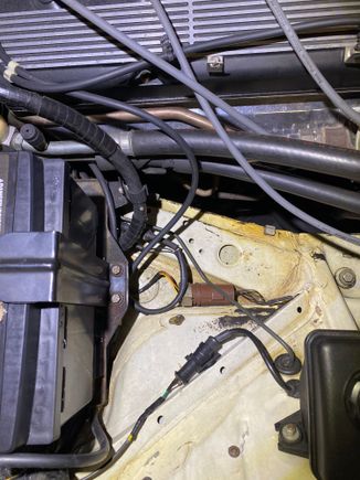4 wires going in, one black, to 3 black coming out jumpered together. 