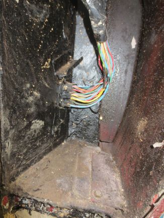 Empty wing cavity behind the LHS front wheel