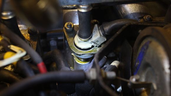 Where was this Goo coming from? I thought it might have been a leak from the Injector Hose except the Injector Hose was Clean and Dry