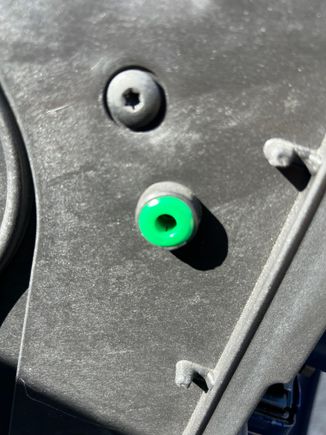 Female clip in situ