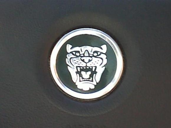 jaguar