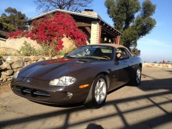 Xk8 brown2