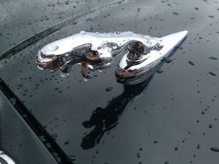 Hood Jaguar Leeper Left view
