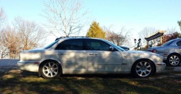 Cat resting after prowling the town