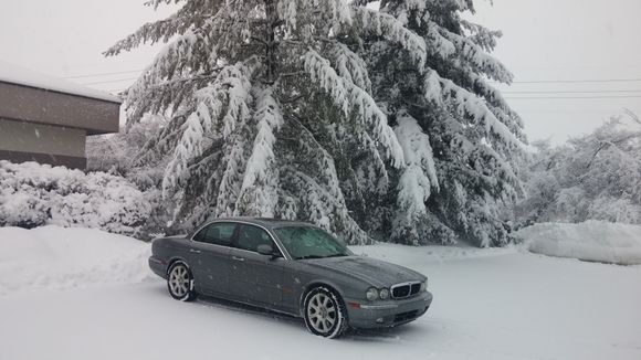 wintercar