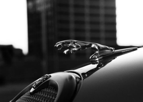 jaguar2[1]