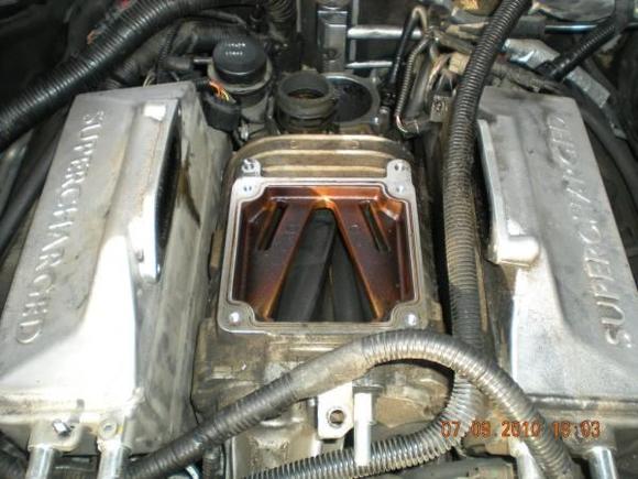 Removing the Blower to repair the coolant hose under it.
Send this baby to Stigemeier for a Snake Bite
