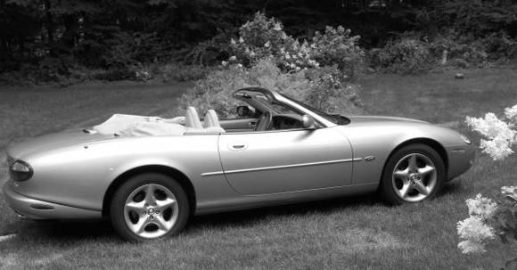 another shot with color options