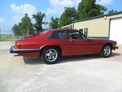 84XJSd