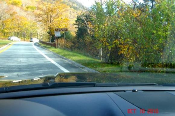 In the white mts.