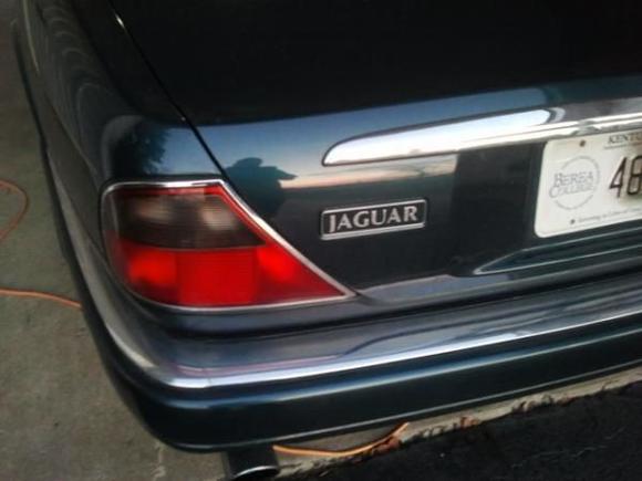 Jaguar (640x480)