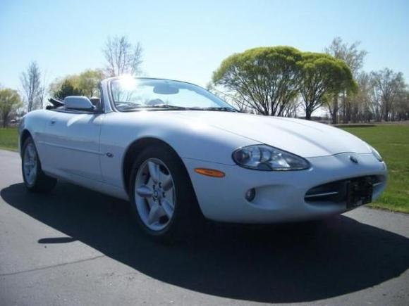 jaguar