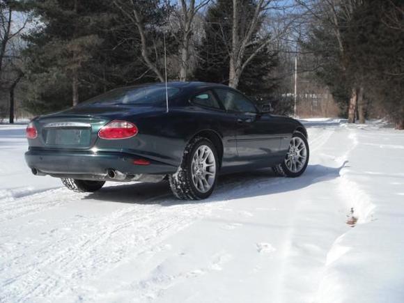 Rear view. It could use to be lowered a bit.