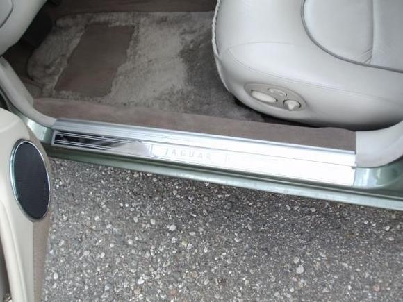 Jaguar photo file 017