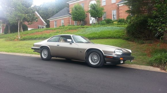 the best one in the bunch