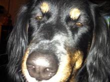 In Jeep ='s NOT AT WORK