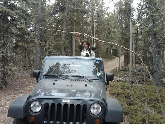 Colorado Trail off of Rampart Range Rd.