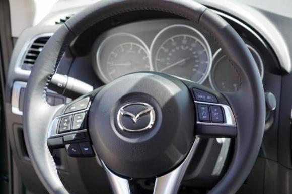 Steering Wheel Detail
