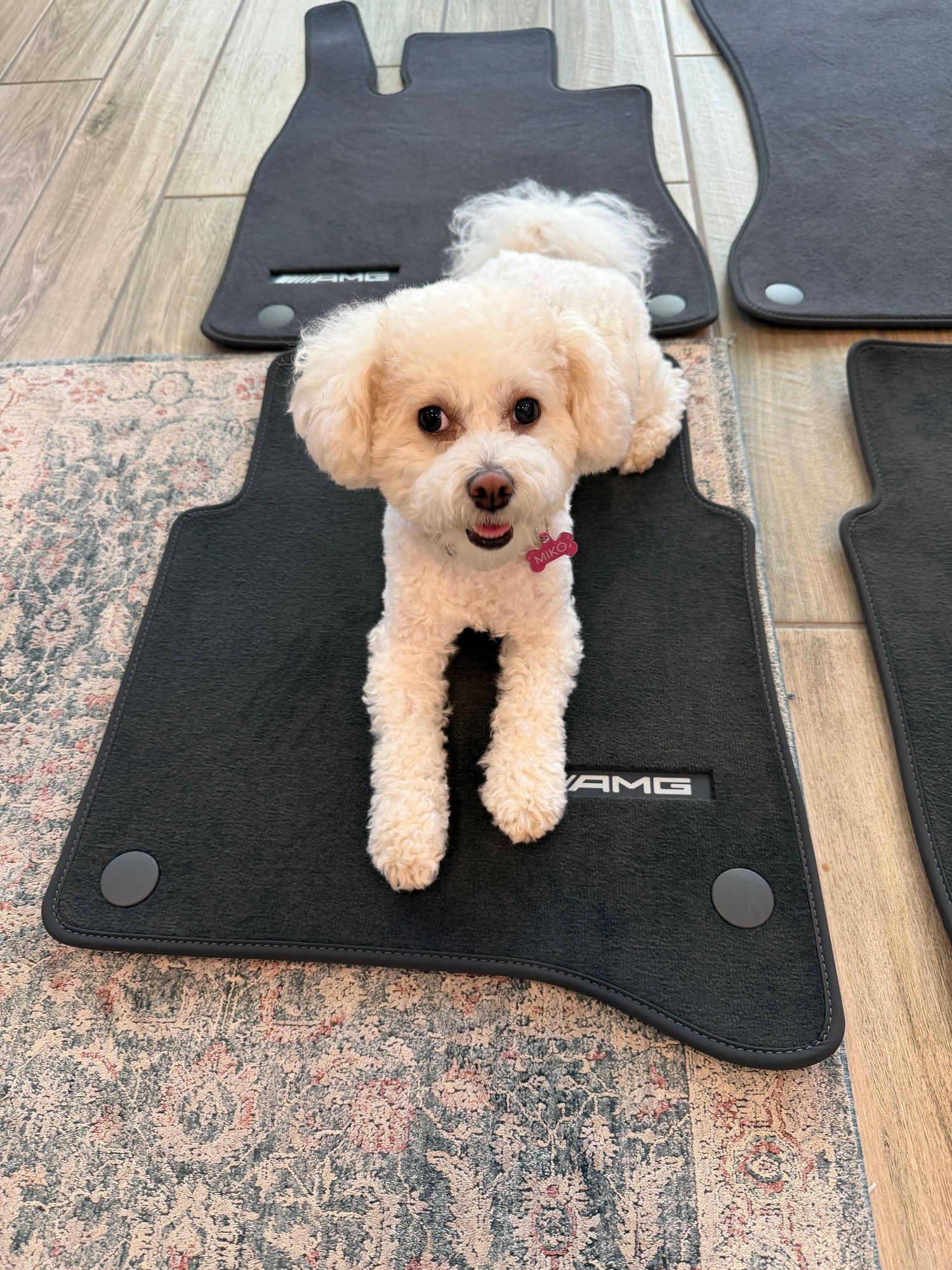 Interior/Upholstery - Brand new, unused S Class floor mats (AMG Line) (W223) 2022 and newer - New - 2022 to 2026 Mercedes-Benz S-Class - Sacramento, CA 95628, United States