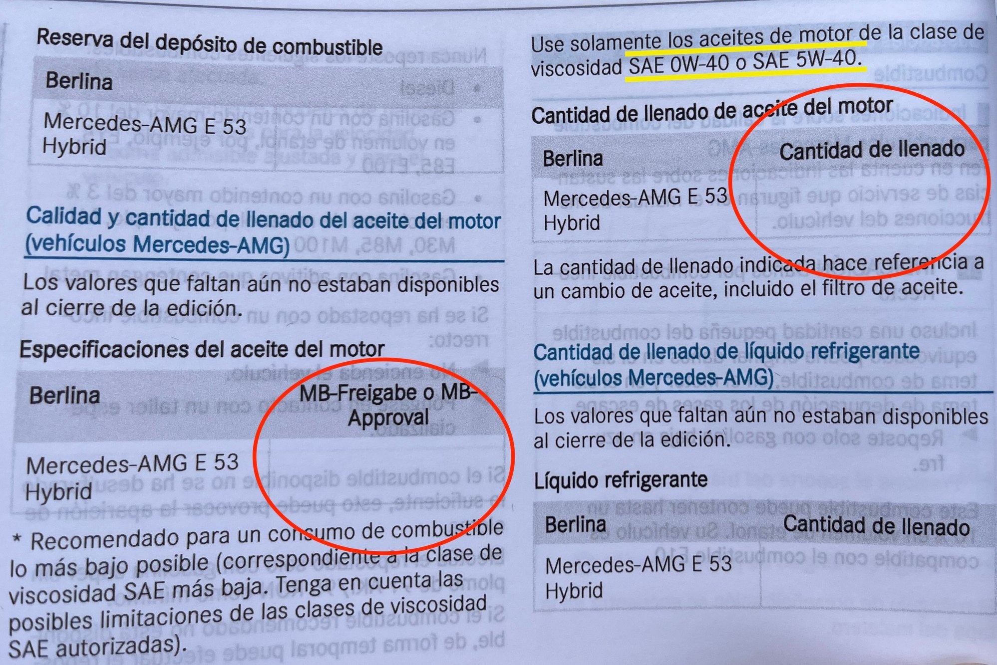 Page 52 excerpt from supplemental E53 AMG owner's manual.