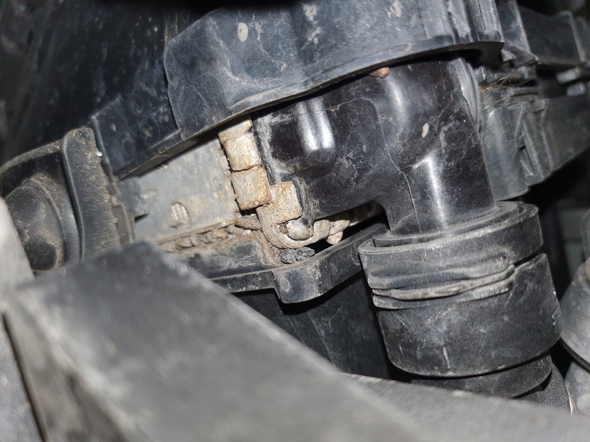 Leaking radiator on passenger side? Forums