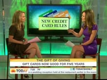 Nicole Lapin CNBC Today Show