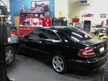 CLK Tint and Tires