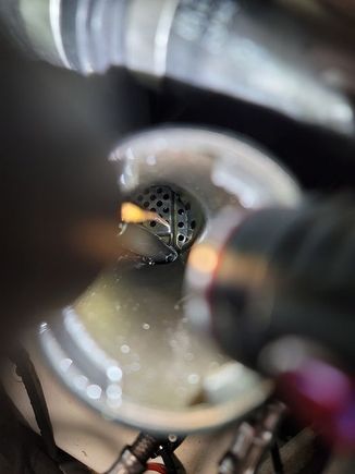 View of the inside tank baffle screen holes