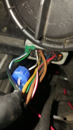 Tap the gray white wire at the headlight connector