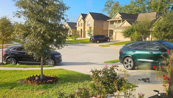 Seriously though, that's my neighbors black car between my green Mercedes and green Jag. I want a green not black car.