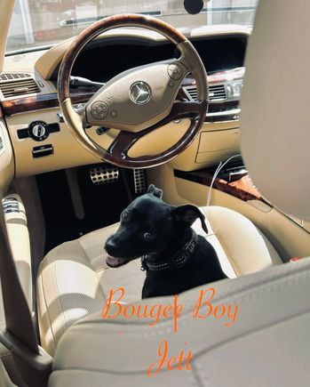 My boy Jett loves the Benz!