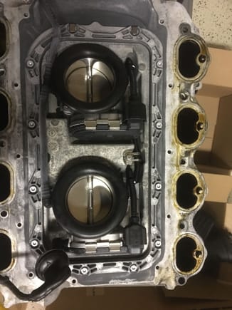 There are the two throttle bodies.  You need to remove the plastic surround to get at the 4 bolts  mounting each TB.  The plastic rings are held on by two plastic clips you need to release with your fingers or a small screwdriver.  
