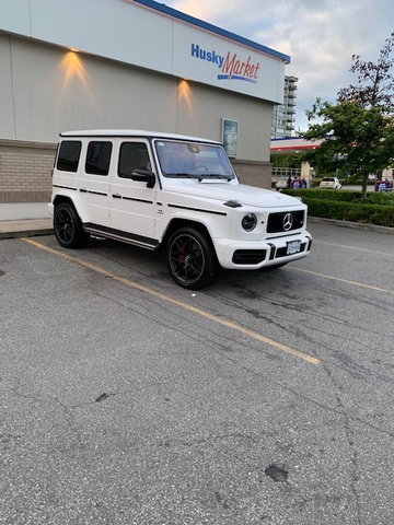 g63 bull bar