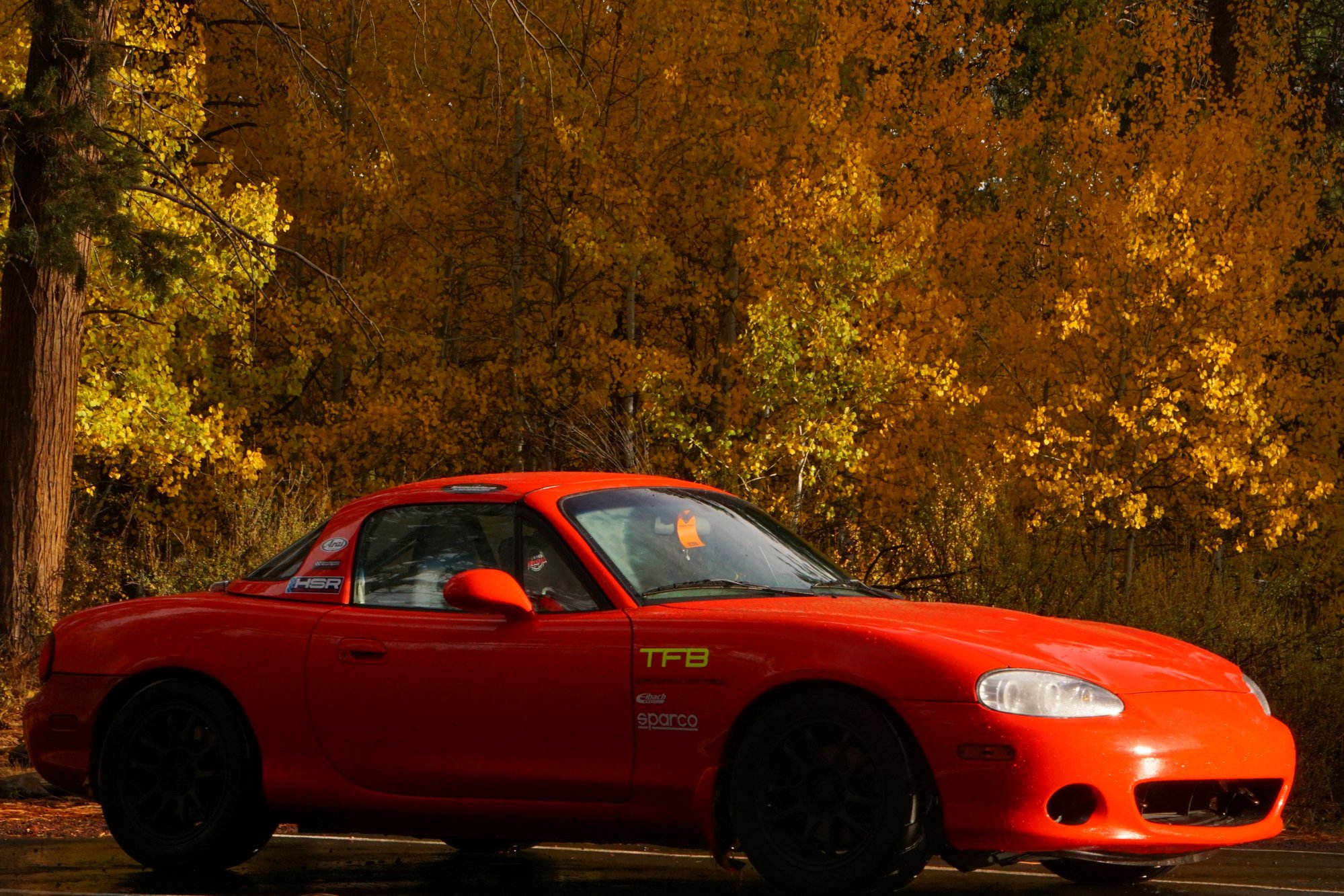 kind of a bad photo but its the most recent one i have