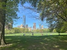 Downtown view from Central Park