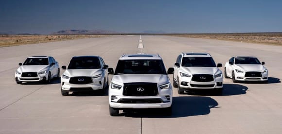 This.... stop this Infiniti... just stop... why must they all have the same beak... No...just no!!!  Lol