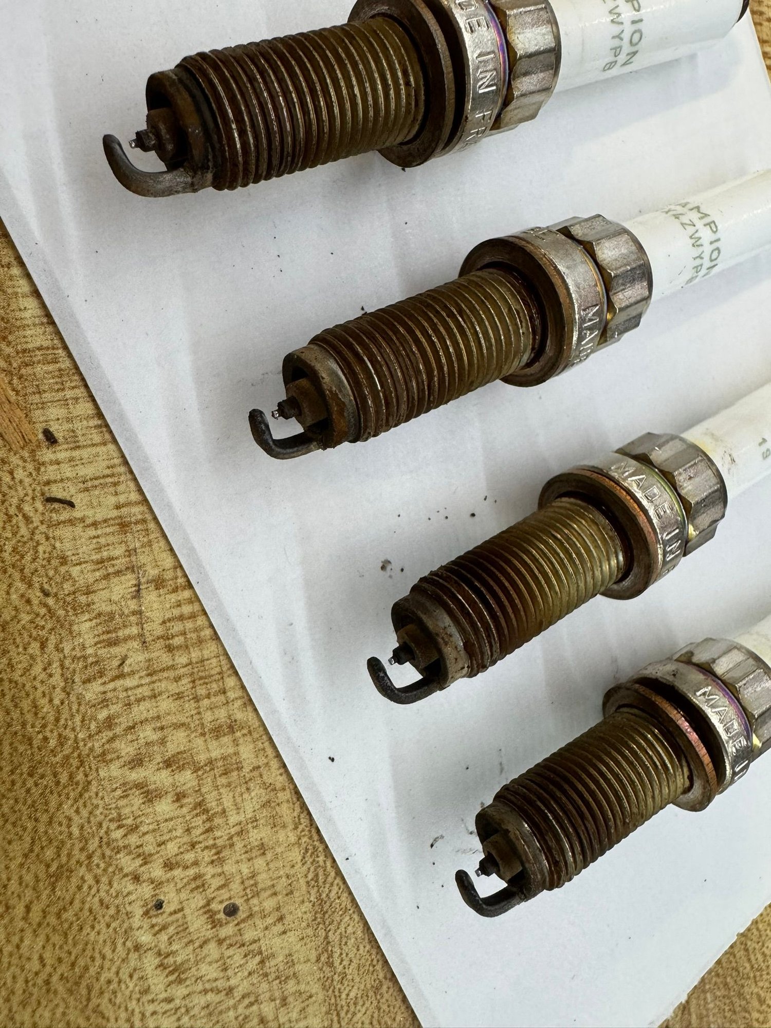 Original plugs?  Likely.  A little grungy, but appear to be normal looking.