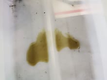 This was all the oil that came out of WP side of the SC. Not much more seemed to go back in, though, and this was pretty darned clean.