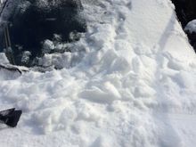 Albert covered in snow and ice...